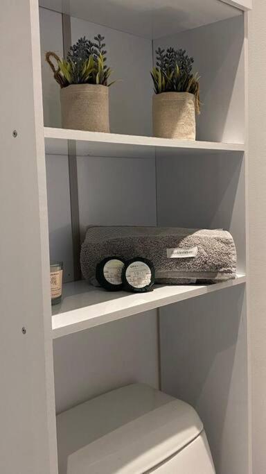 Entire 2 Bedrooms In São Paulo